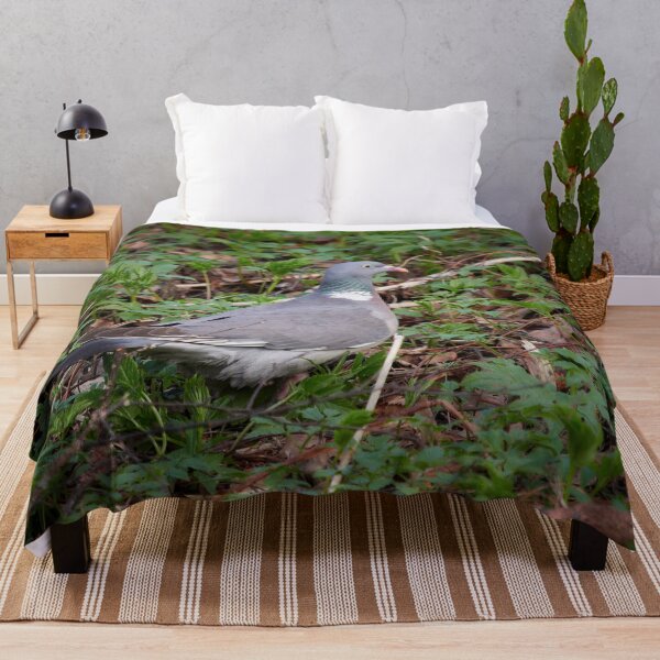 Item preview, Somewhere here I think. Woodpigeon designed and sold by Jouko Lehto Photography.
