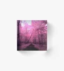 Infrared Trail - 1 Acrylic Block
