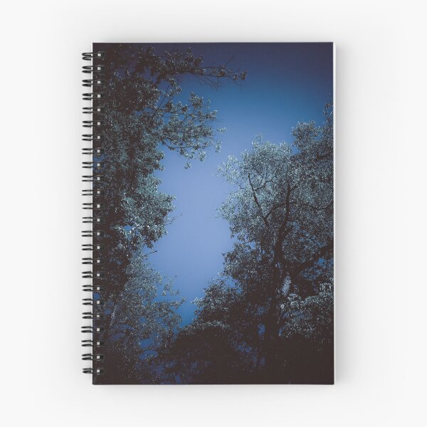 Item preview, dazecore aesthetic trees blue sky green leaves aesthetic darker vin designed and sold by sielexis.