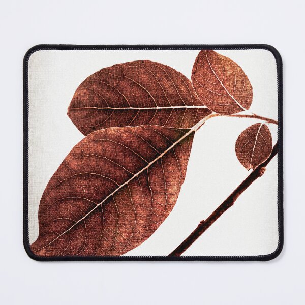 Item preview, Decorative willow branch designed and sold by SulkaCreative.