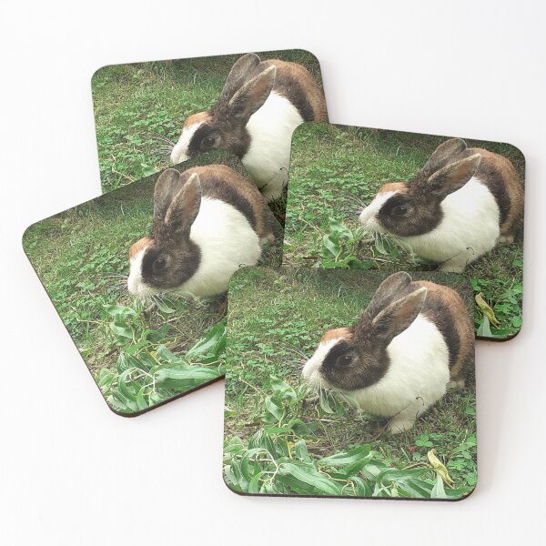 Item preview, Pets Collection No. 1 - Brucee Bunny Rabbit - Photo by CJ's Crafts designed and sold by CJSCRAFTS.