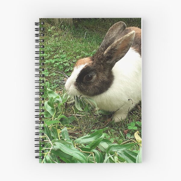 Item preview, Pets Collection No. 1 - Brucee Bunny Rabbit - Photo by CJ's Crafts designed and sold by CJSCRAFTS.