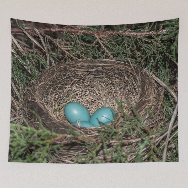 Item preview, Robins nest with eggs designed and sold by Roger Porter Photography.