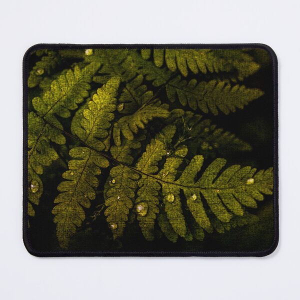 Item preview, Fern leaf designed and sold by SulkaCreative.