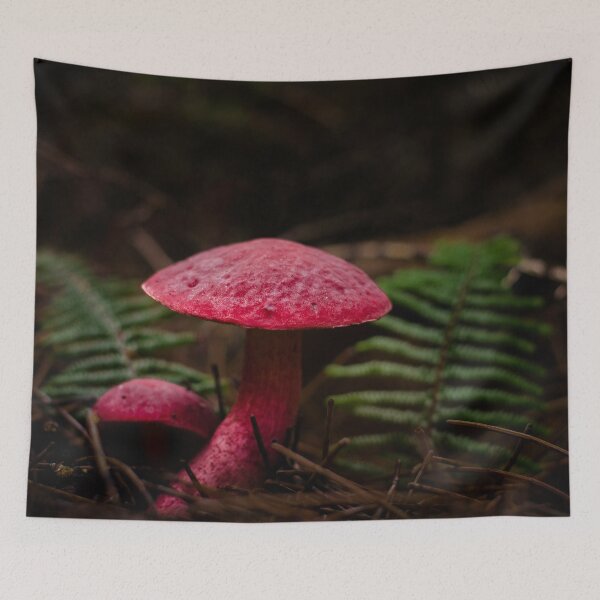 Item preview, Mushroom designed and sold by Apatche Revealed.