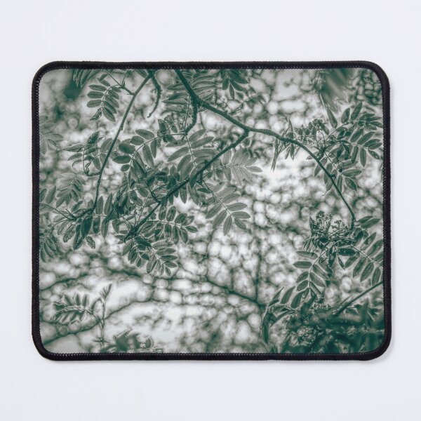 Item preview, Rowan designed and sold by SulkaCreative.