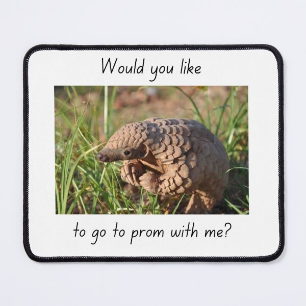 Item preview, Would you like to go to prom with me?, baby pangolin meme, Graduation, graduating high school, prom designed and sold by FairyOfCherries.