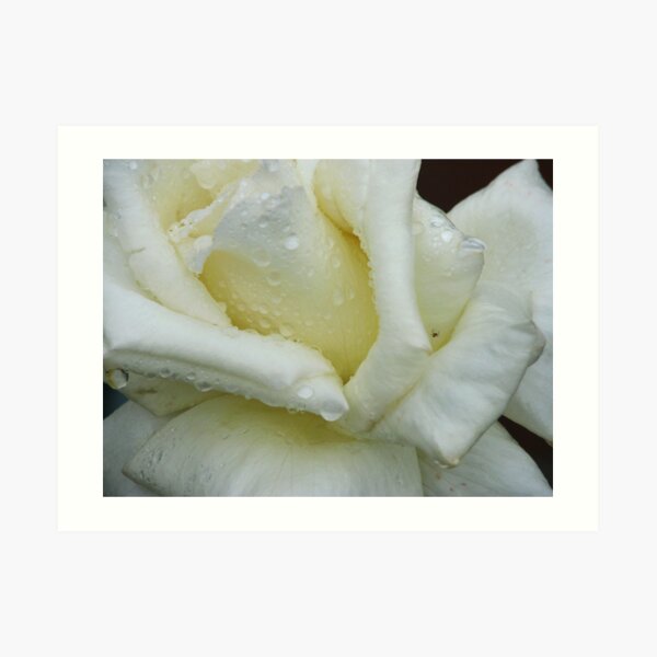 I Think I'm All White Art Print