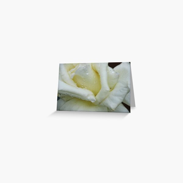 I Think I'm All White Greeting Card