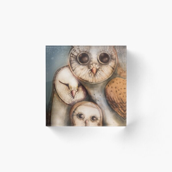 three wise owls Acrylic Block