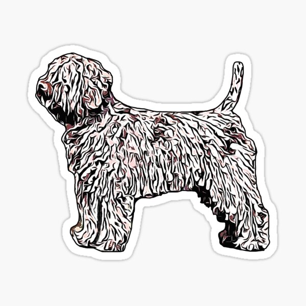 Pegatinas: Perro De Agua Espa%c3%b1ol