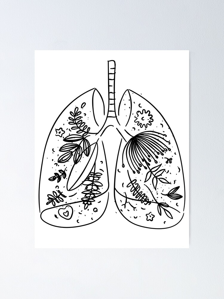 Drawing of a human lung doodle sketch flat style Stock Photo by ©AntonDzyna  334791596