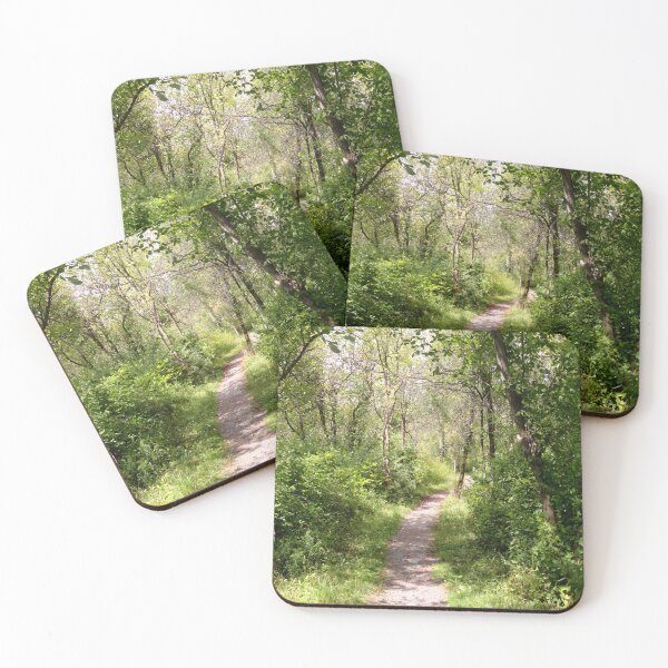 Item preview, Path at Stiglmeier Park designed and sold by jc1192.