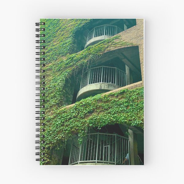Item preview, vines and stairs designed and sold by Delaney D.