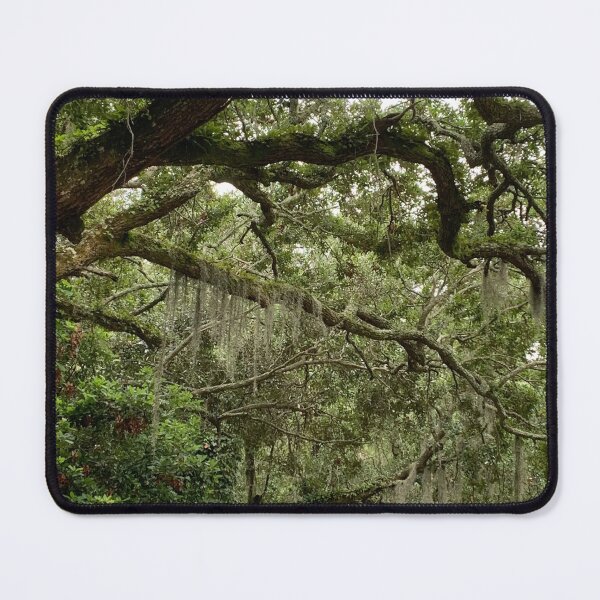 Item preview, Spanish Moss designed and sold by Delaney D.