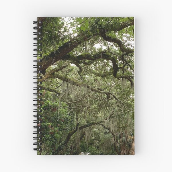 Item preview, Spanish Moss designed and sold by Delaney D.