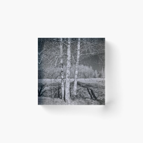 Item preview, Birches birches. Infrared photography bw designed and sold by Jouko Lehto Photography.