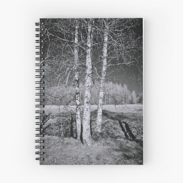 Item preview, Birches birches. Infrared photography bw designed and sold by Jouko Lehto Photography.