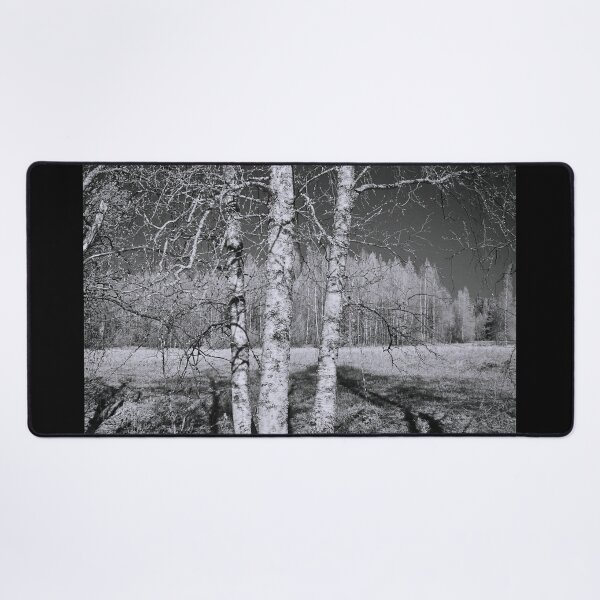 Item preview, Birches birches. Infrared photography bw designed and sold by Jouko Lehto Photography.