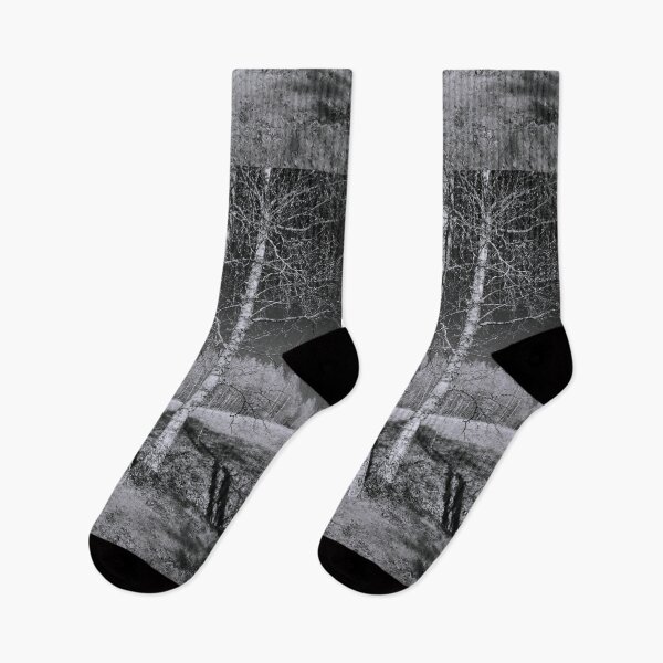 Item preview, Birches birches. Infrared photography bw designed and sold by Jouko Lehto Photography.