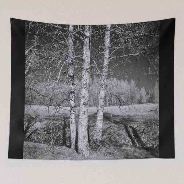 Item preview, Birches birches. Infrared photography bw designed and sold by Jouko Lehto Photography.