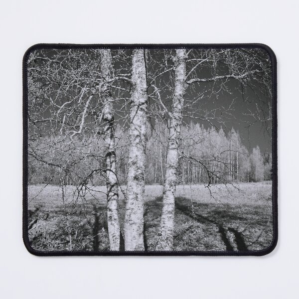 Item preview, Birches birches. Infrared photography bw designed and sold by Jouko Lehto Photography.