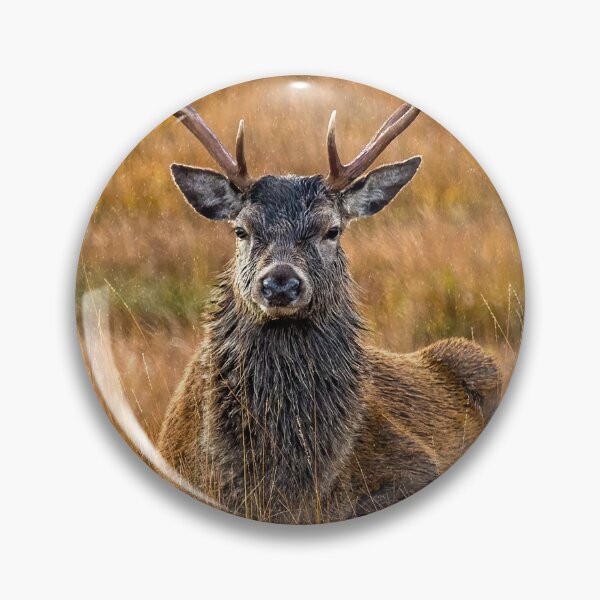 Item preview, Autumnal Stag in the Rain designed and sold by derekbeattie.