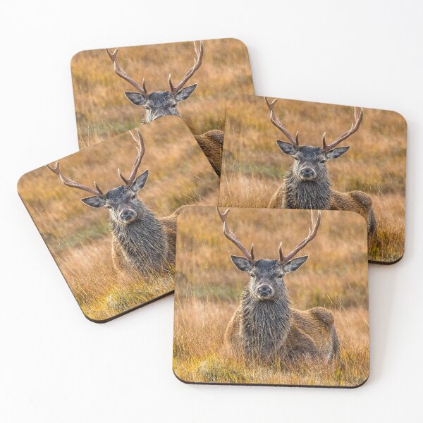 Item preview, Autumnal Stag in the Rain designed and sold by derekbeattie.