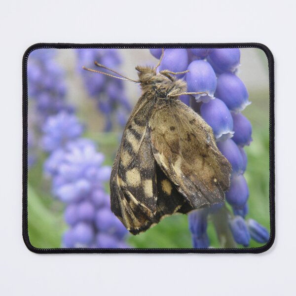 Item preview, Pretty Brown Butterfly and Muscari Flowers Macro Photograph designed and sold by naturegallery.