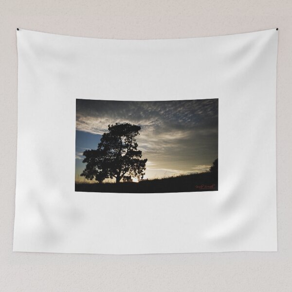 Item preview, Sunrise at the National Arboretum in Canberra/ACT/Australia (3) designed and sold by Wolf Sverak Photography.