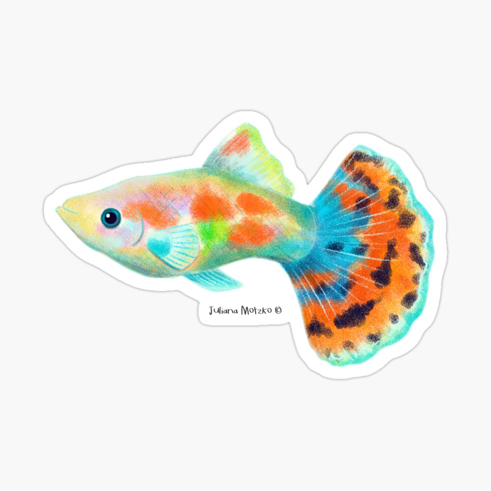 mosaic guppy fish