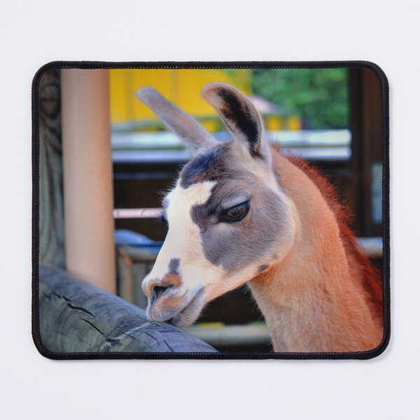 Item preview, Llama designed and sold by Savannah Gibbs.