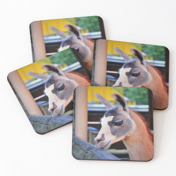 Item preview, Llama designed and sold by Savannah Gibbs.