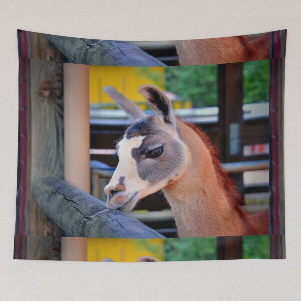 Item preview, Llama designed and sold by Savannah Gibbs.