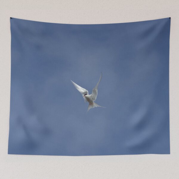 Item preview, Arctic tern (Sterna paradisaea) designed and sold by Vidarleikur.