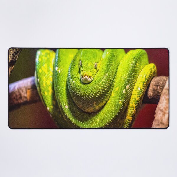 Item preview, fwc 2958 wildlife australia designed and sold by fred chiea.