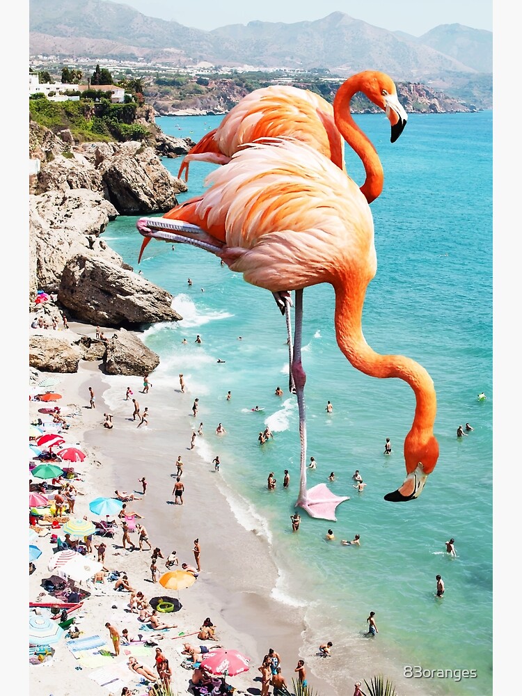 Flamingos on the Beach, Wildlife Surrealism Birds, Nature Flamingo Fantasy Beach Summer Photography by 83oranges