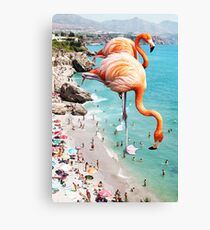Flamingos am Strand #redbubble #decor Leinwanddruck