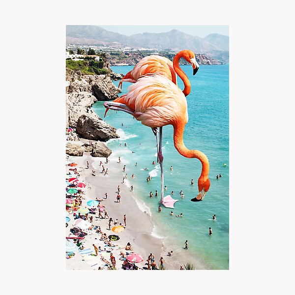 Flamingos on the Beach, Wildlife Surrealism Birds, Nature Flamingo Fantasy Beach Summer Photography Photographic Print