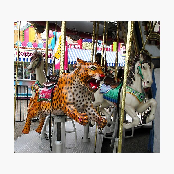 "Ready, Set, Go!" Photographic Print
