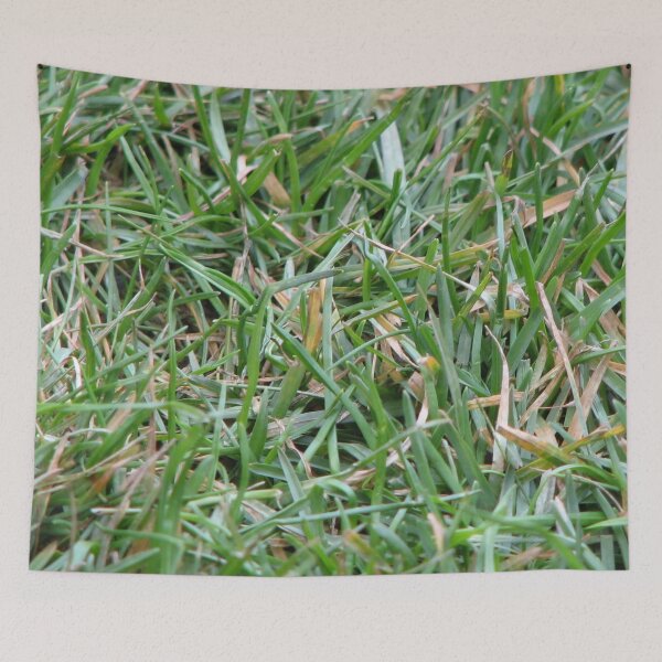 Item preview, Green Grass designed and sold by birdo-art.