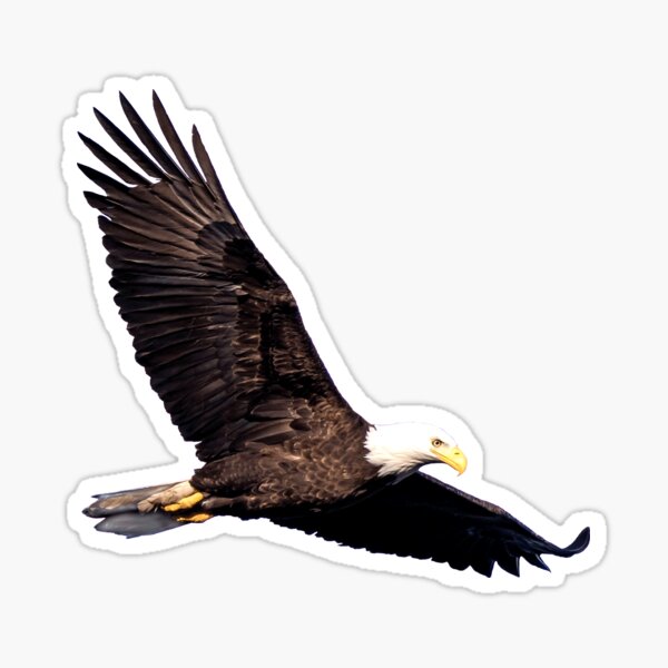 Item preview, Soaring Eagle designed and sold by AlaskaHemp.