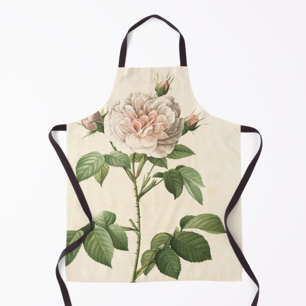 Item preview, Rosa Alba Regalis; Rosier blanc 'Great Maiden's Blush' ; 'Cuisse de Nymphe Emue' designed and sold by linggalibrary.