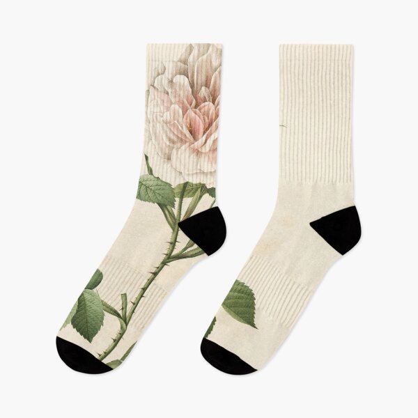 Item preview, Rosa Alba Regalis; Rosier blanc 'Great Maiden's Blush' ; 'Cuisse de Nymphe Emue' designed and sold by linggalibrary.
