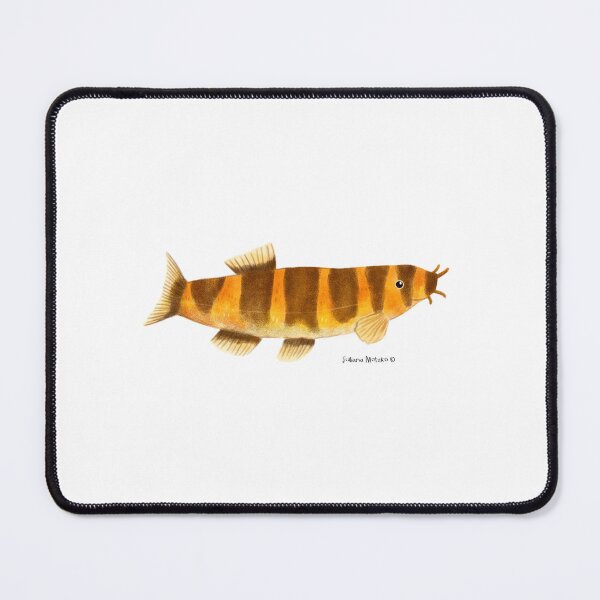 Item preview, Kuhli Loach fish designed and sold by julianamotzko.