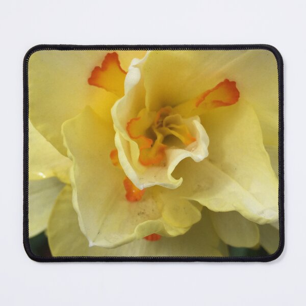 Item preview, Yellow Orange Daffodil    designed and sold by zwrr16.