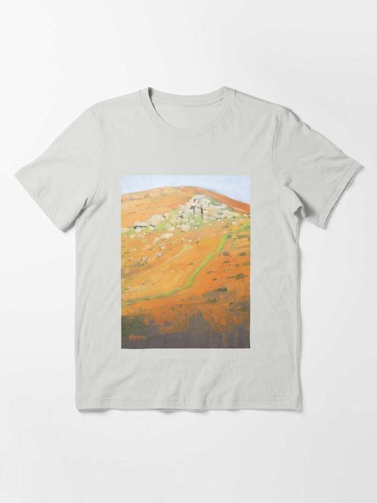 dartmoor t shirt