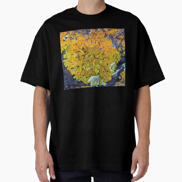 Item preview, Orange Lichen at Magpie Springs designed and sold by MagpieSprings.