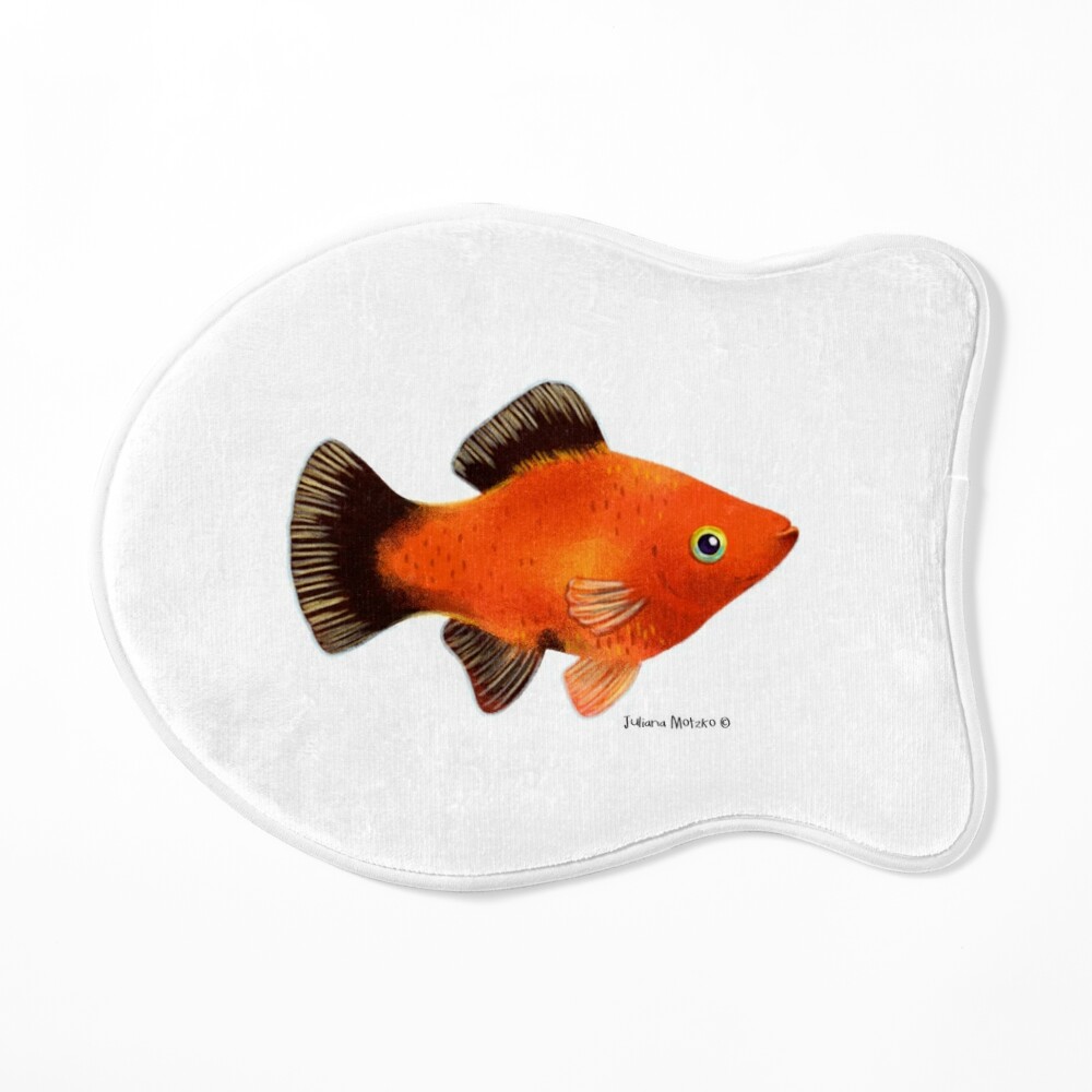 Mickey Mouse Platy, fish Goldfish, Betta & More