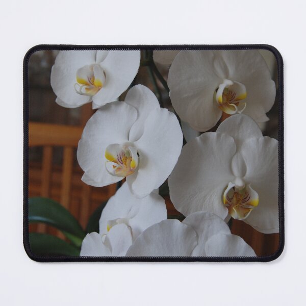 Item preview, White Orchid III  designed and sold by zwrr16.